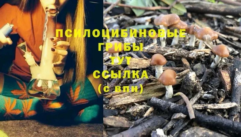 Галлюциногенные грибы Psilocybine cubensis  hydra как войти  Тырныауз  дарнет шоп 